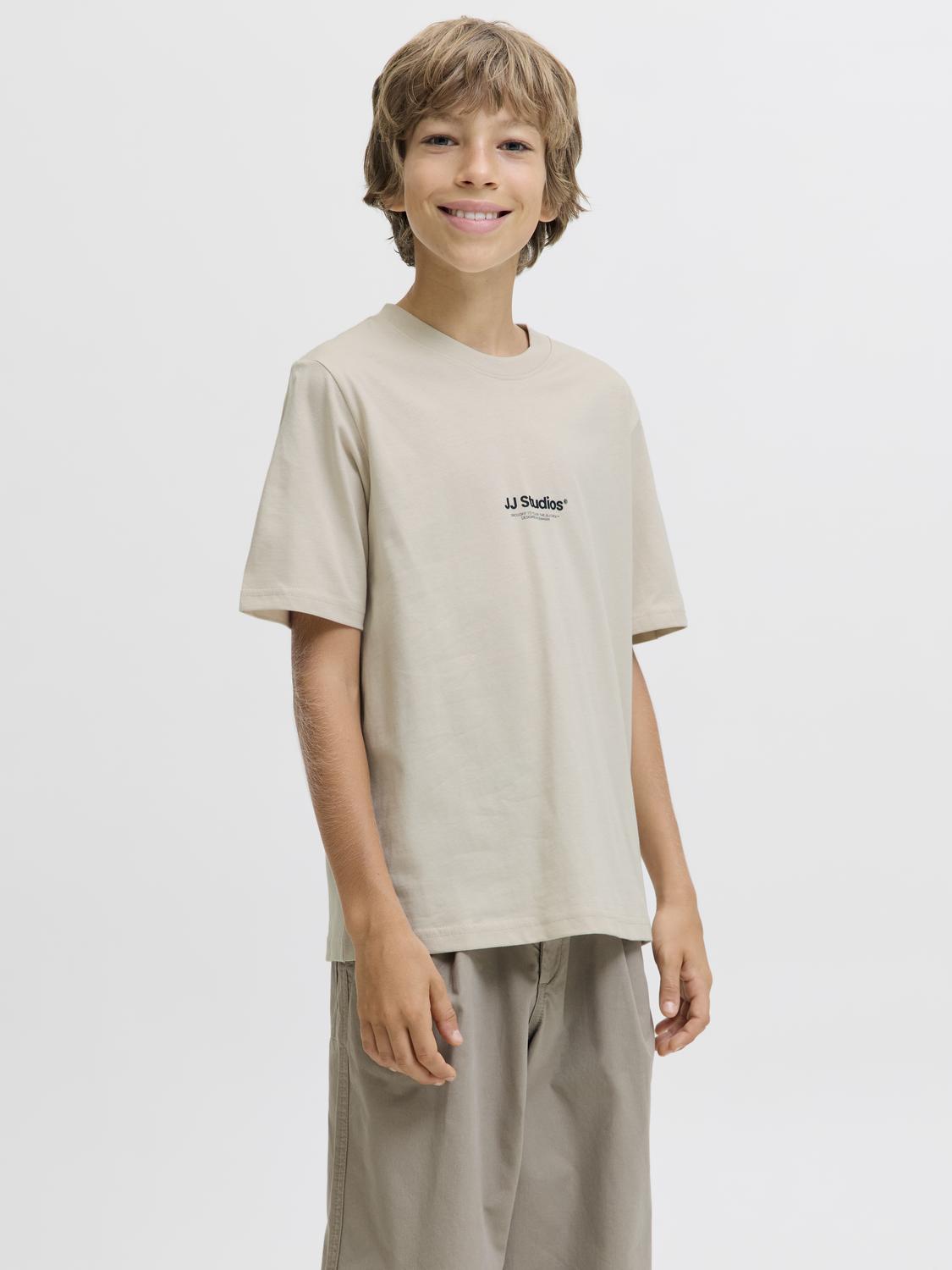JJESOHO T-shirt - Moonbeam